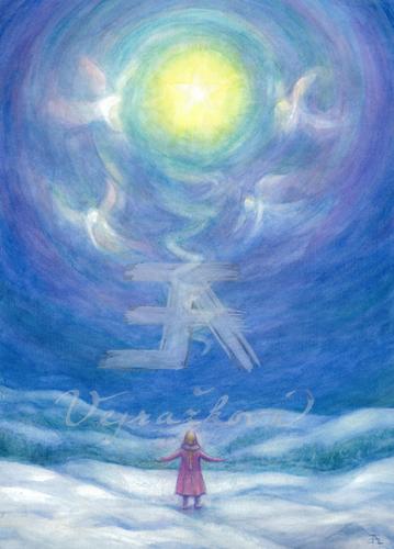 Obrázek - Zimní hvězda