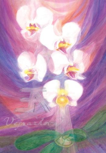 Obrázek - Orchidej - Andělský sestup
