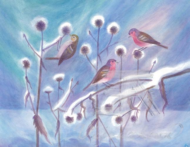 Obrázek - Bodláky v zimě